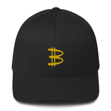 Load image into Gallery viewer, Bitcoin Hat
