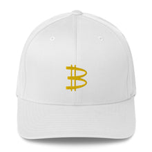 Load image into Gallery viewer, Bitcoin Hat
